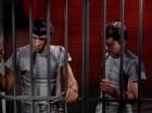 Filename=ariane179254_StarTrek_2x25_BreadAndCircuses_2595.jpg
Filesize=138KiB
Dimensions=1440x1080
Date added=Aug 27, 2015 ariane179254_StarTrek_2x25_BreadAndCircuses_2595.jpg