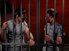 Filename=ariane179254_StarTrek_2x25_BreadAndCircuses_2606.jpg
Filesize=135KiB
Dimensions=1440x1080
Date added=Aug 27, 2015 ariane179254_StarTrek_2x25_BreadAndCircuses_2606.jpg