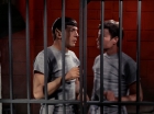 Filename=ariane179254_StarTrek_2x25_BreadAndCircuses_2631.jpg
Filesize=125KiB
Dimensions=1440x1080
Date added=Aug 27, 2015 ariane179254_StarTrek_2x25_BreadAndCircuses_2631.jpg
