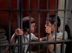 Filename=ariane179254_StarTrek_2x25_BreadAndCircuses_2647.jpg
Filesize=131KiB
Dimensions=1440x1080
Date added=Aug 27, 2015 ariane179254_StarTrek_2x25_BreadAndCircuses_2647.jpg