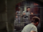 Filename=ariane179254_StarTrek_2x25_BreadAndCircuses_3017.jpg
Filesize=92KiB
Dimensions=1440x1080
Date added=Aug 27, 2015 ariane179254_StarTrek_2x25_BreadAndCircuses_3017.jpg