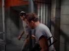 Filename=ariane179254_StarTrek_2x25_BreadAndCircuses_3026.jpg
Filesize=118KiB
Dimensions=1440x1080
Date added=Aug 27, 2015 ariane179254_StarTrek_2x25_BreadAndCircuses_3026.jpg