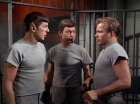 Filename=ariane179254_StarTrek_2x25_BreadAndCircuses_3031.jpg
Filesize=153KiB
Dimensions=1440x1080
Date added=Aug 27, 2015 ariane179254_StarTrek_2x25_BreadAndCircuses_3031.jpg