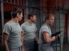 Filename=ariane179254_StarTrek_2x25_BreadAndCircuses_3038.jpg
Filesize=157KiB
Dimensions=1440x1080
Date added=Aug 27, 2015 ariane179254_StarTrek_2x25_BreadAndCircuses_3038.jpg