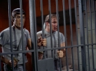 Filename=ariane179254_StarTrek_2x25_BreadAndCircuses_3078.jpg
Filesize=138KiB
Dimensions=1440x1080
Date added=Aug 27, 2015 ariane179254_StarTrek_2x25_BreadAndCircuses_3078.jpg