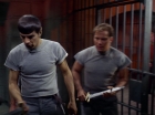 Filename=ariane179254_StarTrek_2x25_BreadAndCircuses_3080.jpg
Filesize=111KiB
Dimensions=1440x1080
Date added=Aug 27, 2015 ariane179254_StarTrek_2x25_BreadAndCircuses_3080.jpg