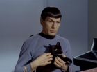 Filename=ariane179254_StarTrek_2x26_AssignmentEarth_0414.jpg
Filesize=84KiB
Dimensions=1440x1080
Date added=Aug 27, 2015 ariane179254_StarTrek_2x26_AssignmentEarth_0414.jpg