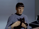 Filename=ariane179254_StarTrek_2x26_AssignmentEarth_0415.jpg
Filesize=87KiB
Dimensions=1440x1080
Date added=Aug 27, 2015 ariane179254_StarTrek_2x26_AssignmentEarth_0415.jpg