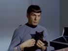 Filename=ariane179254_StarTrek_2x26_AssignmentEarth_0417.jpg
Filesize=88KiB
Dimensions=1440x1080
Date added=Aug 27, 2015 ariane179254_StarTrek_2x26_AssignmentEarth_0417.jpg