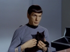 Filename=ariane179254_StarTrek_2x26_AssignmentEarth_0418.jpg
Filesize=86KiB
Dimensions=1440x1080
Date added=Aug 27, 2015 ariane179254_StarTrek_2x26_AssignmentEarth_0418.jpg