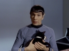 Filename=ariane179254_StarTrek_2x26_AssignmentEarth_0502.jpg
Filesize=93KiB
Dimensions=1440x1080
Date added=Aug 27, 2015 ariane179254_StarTrek_2x26_AssignmentEarth_0502.jpg