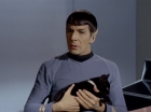 Filename=ariane179254_StarTrek_2x26_AssignmentEarth_0504.jpg
Filesize=91KiB
Dimensions=1440x1080
Date added=Aug 27, 2015 ariane179254_StarTrek_2x26_AssignmentEarth_0504.jpg