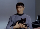Filename=ariane179254_StarTrek_2x26_AssignmentEarth_0509.jpg
Filesize=89KiB
Dimensions=1440x1080
Date added=Aug 27, 2015 ariane179254_StarTrek_2x26_AssignmentEarth_0509.jpg