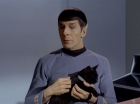Filename=ariane179254_StarTrek_2x26_AssignmentEarth_0517.jpg
Filesize=91KiB
Dimensions=1440x1080
Date added=Aug 27, 2015 ariane179254_StarTrek_2x26_AssignmentEarth_0517.jpg