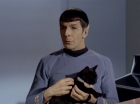 Filename=ariane179254_StarTrek_2x26_AssignmentEarth_0519.jpg
Filesize=91KiB
Dimensions=1440x1080
Date added=Aug 27, 2015 ariane179254_StarTrek_2x26_AssignmentEarth_0519.jpg