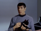 Filename=ariane179254_StarTrek_2x26_AssignmentEarth_0523.jpg
Filesize=88KiB
Dimensions=1440x1080
Date added=Aug 27, 2015 ariane179254_StarTrek_2x26_AssignmentEarth_0523.jpg
