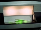 Filename=ariane179254_StarTrek_2x26_AssignmentEarth_1033.jpg
Filesize=127KiB
Dimensions=1440x1080
Date added=Aug 27, 2015 ariane179254_StarTrek_2x26_AssignmentEarth_1033.jpg