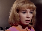 Filename=ariane179254_StarTrek_2x26_AssignmentEarth_2381.jpg
Filesize=105KiB
Dimensions=1440x1080
Date added=Aug 27, 2015 ariane179254_StarTrek_2x26_AssignmentEarth_2381.jpg