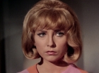 Filename=ariane179254_StarTrek_2x26_AssignmentEarth_2661.jpg
Filesize=125KiB
Dimensions=1440x1080
Date added=Aug 27, 2015 ariane179254_StarTrek_2x26_AssignmentEarth_2661.jpg
