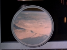 Filename=ariane179254_StarTrek_2x26_AssignmentEarth_3078.jpg
Filesize=94KiB
Dimensions=1440x1080
Date added=Aug 27, 2015 ariane179254_StarTrek_2x26_AssignmentEarth_3078.jpg
