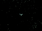 Filename=ariane179254_StarTrek_3x03_TheParadiseSyndrome_3421.jpg
Filesize=20KiB
Dimensions=1440x1080
Date added=Jun 06, 2015 ariane179254_StarTrek_3x03_TheParadiseSyndrome_3421.jpg