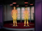 Filename=ariane179254_StarTrek_3x04_AndTheChildrenShallLead_1915.jpg
Filesize=105KiB
Dimensions=1440x1080
Date added=Jun 06, 2015 ariane179254_StarTrek_3x04_AndTheChildrenShallLead_1915.jpg