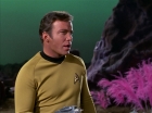 Filename=ariane179254_StarTrek_3x07_DayOfTheDove_0047.jpg
Filesize=104KiB
Dimensions=1440x1080
Date added=Jun 07, 2015 ariane179254_StarTrek_3x07_DayOfTheDove_0047.jpg
