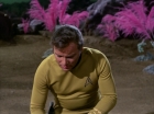 Filename=ariane179254_StarTrek_3x07_DayOfTheDove_0060.jpg
Filesize=99KiB
Dimensions=1440x1080
Date added=Jun 07, 2015 ariane179254_StarTrek_3x07_DayOfTheDove_0060.jpg