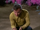 ariane179254_StarTrek_3x07_DayOfTheDove_0064.jpg