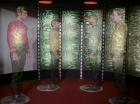 Filename=ariane179254_StarTrek_3x07_DayOfTheDove_0525.jpg
Filesize=122KiB
Dimensions=1440x1080
Date added=Jun 07, 2015 ariane179254_StarTrek_3x07_DayOfTheDove_0525.jpg