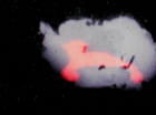 Filename=ariane179254_StarTrek_3x07_DayOfTheDove_0759.jpg
Filesize=60KiB
Dimensions=1440x1080
Date added=Jun 07, 2015 ariane179254_StarTrek_3x07_DayOfTheDove_0759.jpg