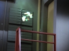 Filename=ariane179254_StarTrek_3x07_DayOfTheDove_3398.jpg
Filesize=98KiB
Dimensions=1440x1080
Date added=Jun 07, 2015 ariane179254_StarTrek_3x07_DayOfTheDove_3398.jpg