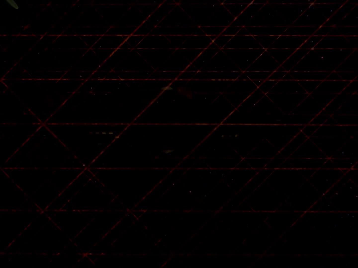 ariane179254_StarTrek_3x09_TheTholianWeb_2835.jpg