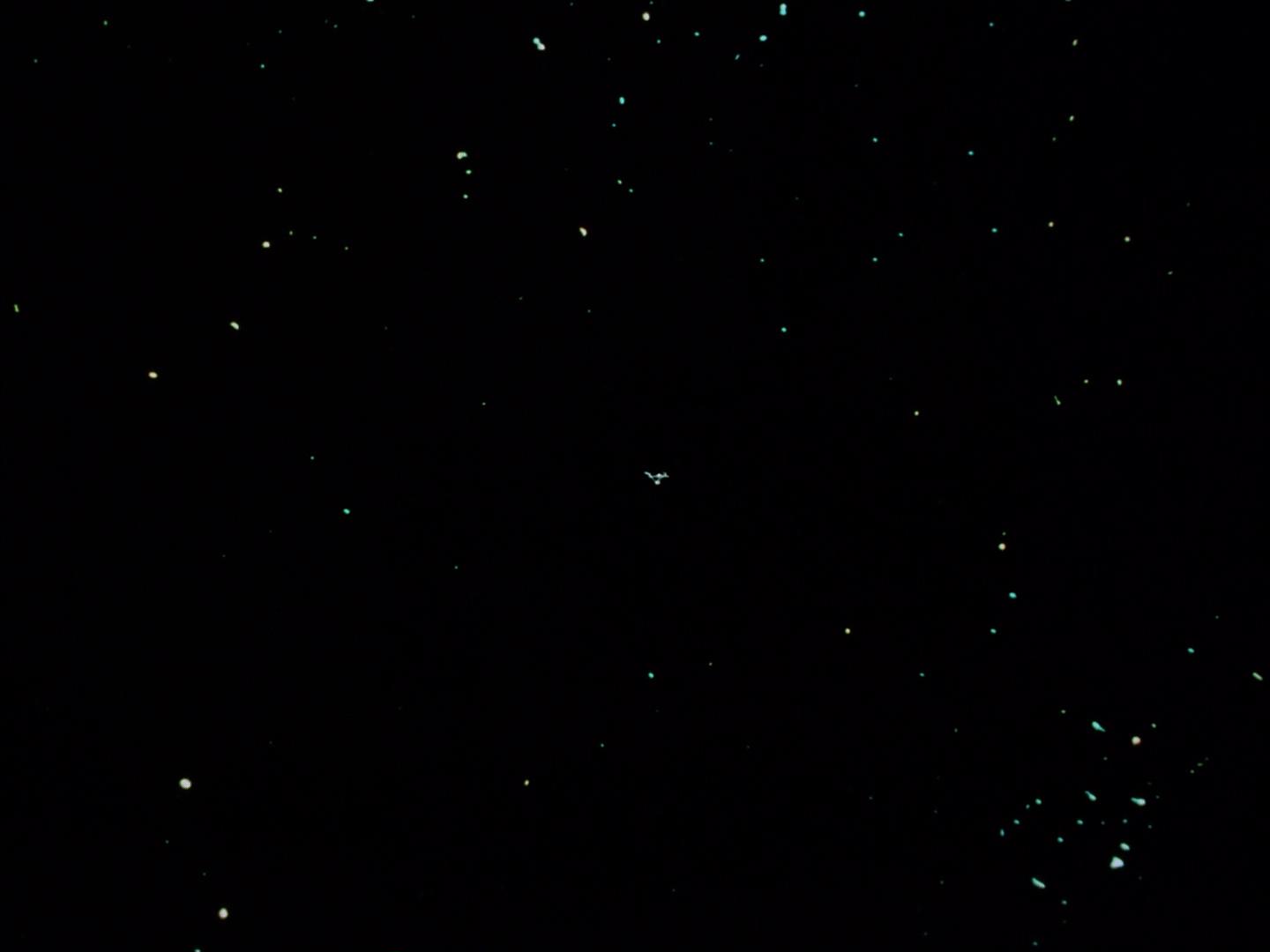 ariane179254_StarTrek_3x09_TheTholianWeb_3392.jpg