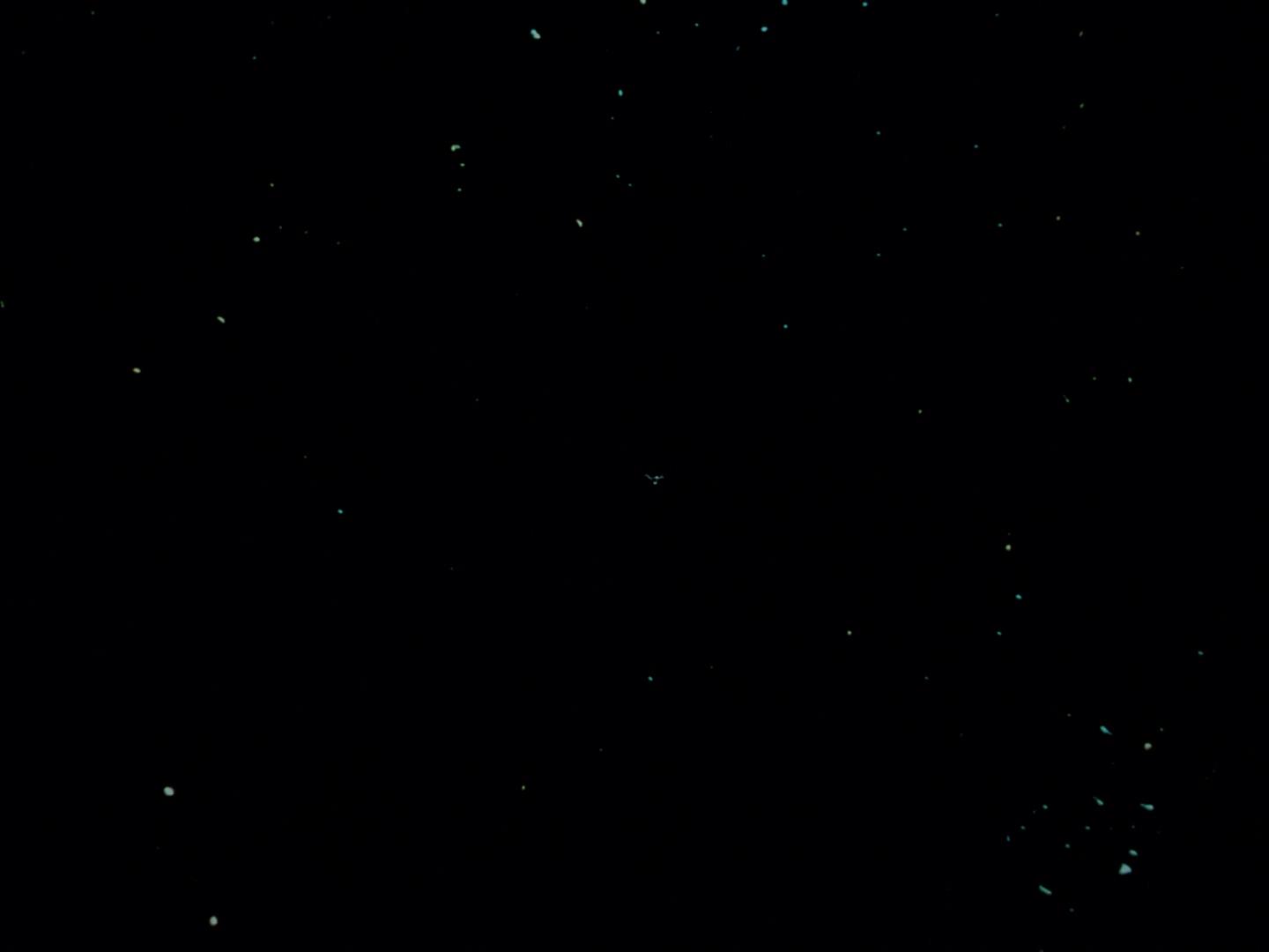 ariane179254_StarTrek_3x09_TheTholianWeb_3393.jpg