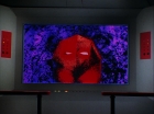 Filename=ariane179254_StarTrek_3x09_TheTholianWeb_1264.jpg
Filesize=102KiB
Dimensions=1440x1080
Date added=Jun 07, 2015 ariane179254_StarTrek_3x09_TheTholianWeb_1264.jpg
