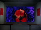ariane179254_StarTrek_3x09_TheTholianWeb_1267.jpg