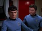 Filename=ariane179254_StarTrek_3x09_TheTholianWeb_1579.jpg
Filesize=82KiB
Dimensions=1440x1080
Date added=Jun 07, 2015 ariane179254_StarTrek_3x09_TheTholianWeb_1579.jpg
