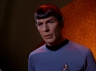 Filename=ariane179254_StarTrek_3x09_TheTholianWeb_1865.jpg
Filesize=66KiB
Dimensions=1440x1080
Date added=Jun 07, 2015 ariane179254_StarTrek_3x09_TheTholianWeb_1865.jpg