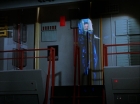 ariane179254_StarTrek_3x09_TheTholianWeb_2661.jpg