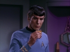 ariane179254_StarTrek_3x09_TheTholianWeb_3025.jpg