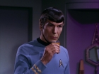 ariane179254_StarTrek_3x09_TheTholianWeb_3026.jpg