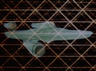 Filename=ariane179254_StarTrek_3x09_TheTholianWeb_3122.jpg
Filesize=141KiB
Dimensions=1440x1080
Date added=Jun 07, 2015 ariane179254_StarTrek_3x09_TheTholianWeb_3122.jpg