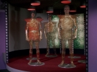 ariane179254_StarTrek_3x13_ElaanOfTroyius_0115.jpg