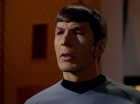 ariane179254_StarTrek_3x13_ElaanOfTroyius_2296.jpg