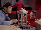 Filename=ariane179254_StarTrek_3x13_ElaanOfTroyius_2901.jpg
Filesize=116KiB
Dimensions=1440x1080
Date added=May 30, 2015 ariane179254_StarTrek_3x13_ElaanOfTroyius_2901.jpg
