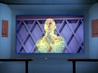 ariane179254_StarTrek_3x16_TheMarkOfGideon_1189.jpg