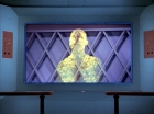 ariane179254_StarTrek_3x16_TheMarkOfGideon_1190.jpg