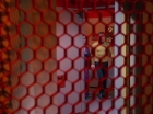 ariane179254_StarTrek_3x16_TheMarkOfGideon_1736.jpg
