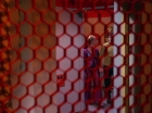 ariane179254_StarTrek_3x16_TheMarkOfGideon_1737.jpg